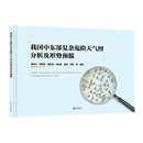 我国中东部复杂危险天气图分析及形势预报