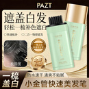 【过年出门必备】染发棒美发棒一次性染发遮盖白发神器草本补色 遮白神器【自然黑】美发笔*1支