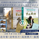 【官方正版】重返狼群李微漪正版 让我陪你重返狼群+千里寻你重返狼群全套2册 沧桑十年马识途文集第十卷 【90%用户选择】重返狼群全篇