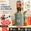 小熊（Bear）榨汁机 原汁机渣汁分离 多功能家用全自动冷压榨果汁橙汁压榨器果蔬机110mm口径F02E3