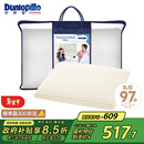 邓禄普（Dunlopillo）青少年乳胶枕荷兰进口特拉雷Talalay天然乳胶枕物理发泡工艺