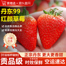 京地达草莓丹东草莓99红颜草莓新鲜水果净重1.8斤单果20g+源头直发包邮