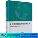 全球数据跨境流动治理实践