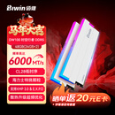 佰维（BIWIN）48G(24G×2)套装 DDR5 6000频率台式机内存条 时空行者DW100 RGB灯条(C28)白色AI PC电脑存储配件
