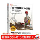 普拉提床拉伸训练解剖图解 普拉提运动解剖学 人邮体育出品