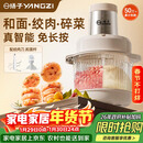 扬子（YANGZI）绞肉机家用绞馅机多功能料理机和面机打泥机智能纯铜电机6叶钢刀和面一体机【抖音同款】5升 J-015
