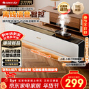 格力暖岁踢脚线取暖器央视展示石墨烯加湿家用电暖器浴室速热电暖气节能取暖器全屋升温 NJI-X7022BV-M