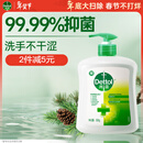 滴露（Dettol）洗手液松木500g瓶 健康抑菌消毒非补充装 儿童家庭用清爽去油