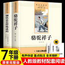 骆驼祥子和钢铁是怎么样炼成的原著正版七年级下册人教版初中教材配套课外阅读书（全4册）适用人民教育出版社人教版教材配套阅读 无删减完整版