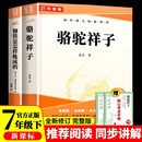 骆驼祥子和钢铁是怎样炼成的原著正版七年级下册人教版初中教材配套课外阅读课外书（全2册）钢铁是怎么样炼成的人民教育出版社人教版配套阅读 无删减完整版