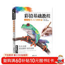 经典全集《彩铅基础教程》零基础入门教材自学手绘临摹初学者儿童成人物书籍风景动物多肉植物花卉美食篇画册