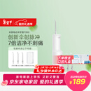 米家小米立式冲牙器洗牙器水牙线 F300烟纱白 创新散射脉冲 4档模式牙齿冲洗器生日年会新年情人节礼物