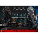 HOT TOYS铁血战士大战异形  可动手办模型玩具 异形夺命舰