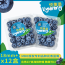 京鲜生&悦美添 真L25花香蓝莓18mm+ 12盒装 约125g/盒 专利品种源头直发