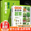 【官方正版】零基础教你种蔬菜 书籍正版 图说蔬菜栽培技术 蔬菜栽培种植技术大全书 【2册】零基础教你种蔬菜+爱上阳台种菜 认准正版
