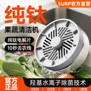 苏泊尓（SUPUR）同款果蔬净化机食材净化器水果蔬菜肉类谷物多功能清洗杀菌去农残洗菜机清洗神器 【活力款】纯钛电解片丨涡流净化