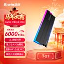 佰维（BIWIN）16G DDR5 6000频率台式机内存条 时空行者DW100炫光 RGB灯条(C28)黑色 AI PC电脑配件