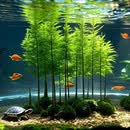 种花迷【水培水杉】常青水杉造型盆景四季室内办公室好养活绿植盆栽客厅 I水培水杉造景植物 5棵 【15-25厘米】