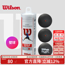 威尔胜（Wilson）专业比赛壁球初学训练蓝点红点双黄点罐装壁球 【桶装1红点】WRT618500