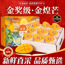 余悦海南金煌芒 【多地次日达】新鲜现摘水仙大芒果青皮甜心芒果整箱 带箱5斤【精选好果丨单果300-350g】净4.5斤