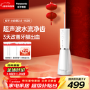 松下（Panasonic）冲牙器成人儿童洗牙器水牙线超声波洁牙器牙齿冲洗器牙结石生日新年礼物小白塔2.0 EW1520
