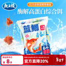 龙王恨鱼饵蓝鲫青春版六蟲腥香饵料黑坑野钓鲫鱼鲤鱼草鱼鳊鱼饵料鱼食料 蓝鲫青春版-六蟲腥香(300g)*1