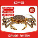 鲜京采 海外直采 鲜活俄罗斯帝王蟹5-6斤/只 源头直发 包邮