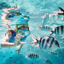 【乐享富国】6/7天纯玩无购物半自助游 2月14日（4晚6天）