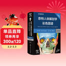 【系解版】奈特人体解剖学彩色图谱：系统解剖学（第8版）全新版本 英汉双语 人民卫生出版社