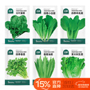 北蔬 蔬菜种子种苗大全生菜香菜菠菜春季阳台菜籽 6种叶菜类蔬菜种子