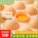 海佑林下新鲜鲜鸡蛋柴鸡蛋现捡五谷鲜鸡蛋40g-45g 土鸡蛋50枚