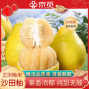 京觅正宗梅州沙田柚金柚8-9斤装 新鲜沙田柚子纯甜无酸年货源头直发