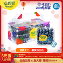 怡颗莓Driscoll's云南蓝莓Jumbo大果18mm+ 6盒约125g/盒 水果年货礼盒