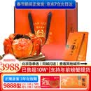 【礼券】蟹朕恩大闸蟹礼券蟹卡提货券螃蟹券端午节送长辈礼物高档 9888型 公6.0两 母5.0两 5对 10只 大闸蟹礼券提货卡