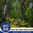 【探秘·哀牢山】+建水+蒙自+元阳双飞6日游 下单后联系客服