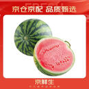 京鲜生 无籽麒麟西瓜 1粒装 净重5-7斤 生鲜水果