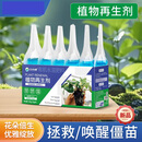 植物再生剂通用型浓缩水溶肥绿植花卉盆栽家庭园艺肥料叶面肥SJD 植物再生剂108ml*3盒