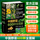 中国野菜600种全图解