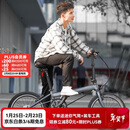大行（DAHON）折叠自行车20英寸8级变速经典P8单车KBC083 消光灰经典版--京仓