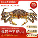 鲜京采 海外直采 鲜活俄罗斯帝王蟹5-6斤/只 源头直发 包邮
