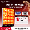 SEAYEO昔又大排灯Pro Max光子嫩肤美容仪红蓝光面罩面膜仪家用美容仪器 Max