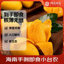 趣尝鲜正宗海南即食手剥小台芒 2斤装 单果70-140g 新鲜水果
