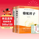 骆驼祥子和钢铁是怎样炼成的原著正版七年级下册人教版初中教材配套课外阅读课外书（全2册）钢铁是怎么样炼成的人民教育出版社人教版配套阅读 无删减完整版
