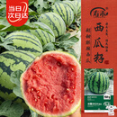 寿禾 西瓜种子瓜籽苗早熟特大麒麟超甜皮薄 冰糖8424西瓜种子120粒