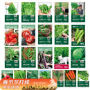 寿禾 蔬菜种子大全春四季香菜生菜西红柿辣椒草莓籽 22种蔬菜种子大全