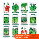 北蔬各种蔬菜种子生菜草莓香菜小香葱黄瓜阳台四季菜籽 12种蔬菜种子