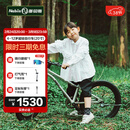 Nabiis那贝斯儿童自行车6-10-12岁铝合金城市超轻青少年学生单车20寸银