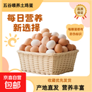 海佑新鲜鲜鸡蛋柴鸡蛋当日现捡生鲜买菜包邮单枚40g左右 林下散养谷饲土鸡蛋20枚