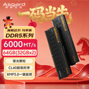 阿斯加特（Asgard）64GB(32GBx2) DDR5 6000 台式机内存条 海姆达尔 马甲条 镁光颗粒 CL40 黑厚甲
