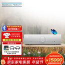 音乐传真英国Musical Fidelity M6si 发烧级合并式HiFi功放专业大功率功放2.0声道高保真 220w 补贴  M6si（银色）